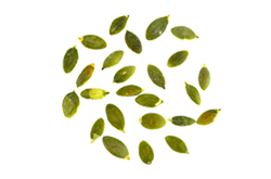 https://sprodkraaks.com/wp-content/uploads/2017/07/bread_transparent_04.png
