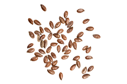 https://sprodkraaks.com/wp-content/uploads/2017/07/bread_transparent_07.png