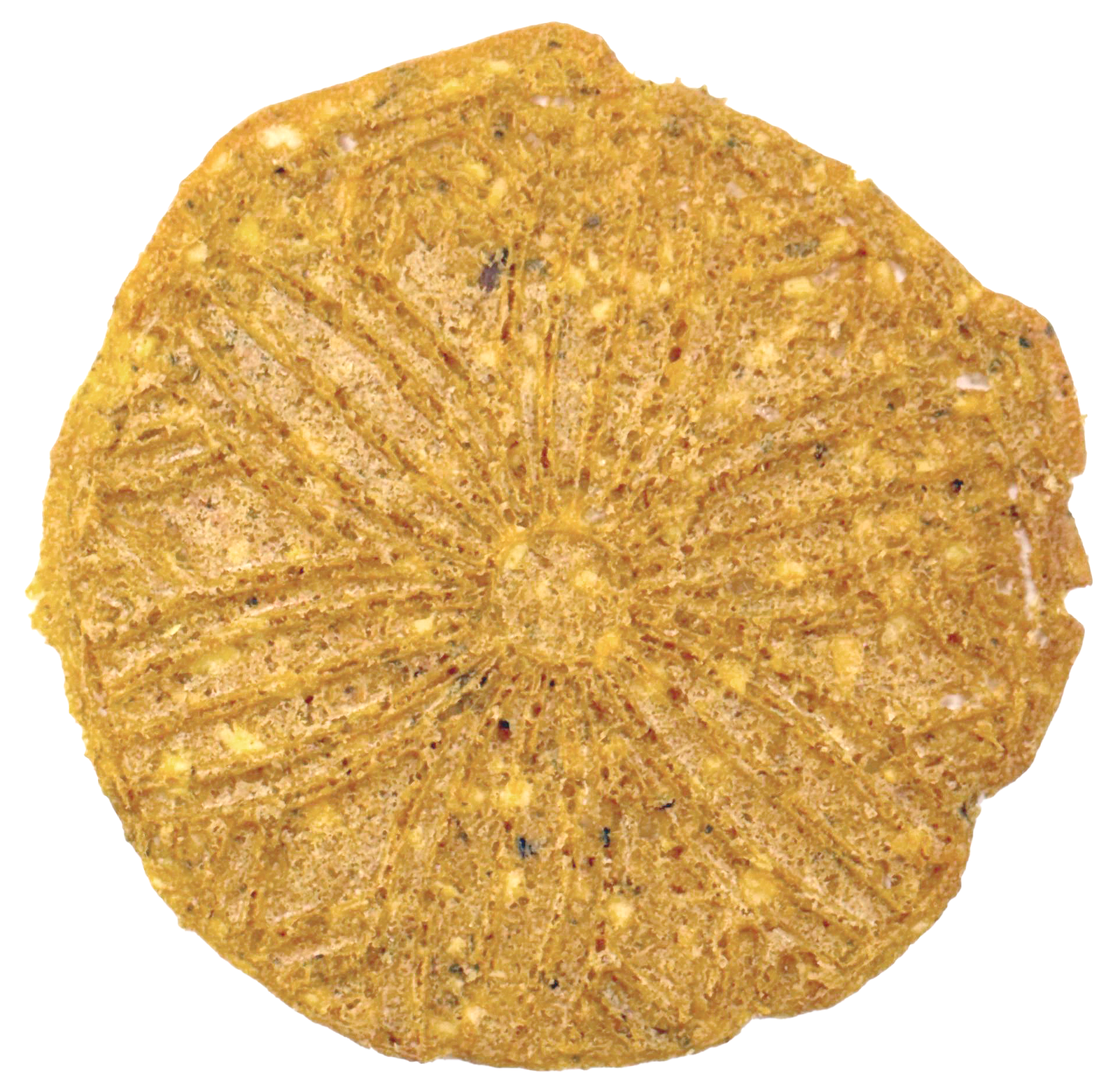 I FEEL FOR FALAFEL PROTEIN + - Image 3
