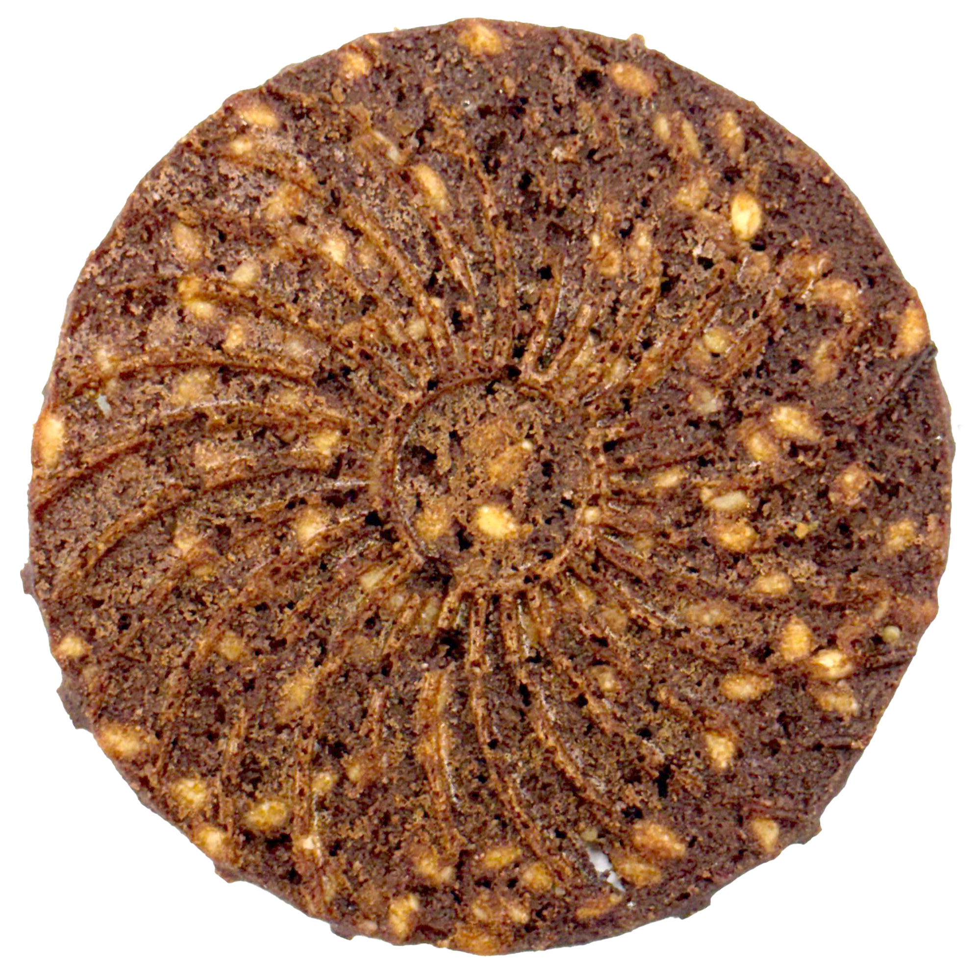 SESAME'S TREAT PROTEIN + - Image 3